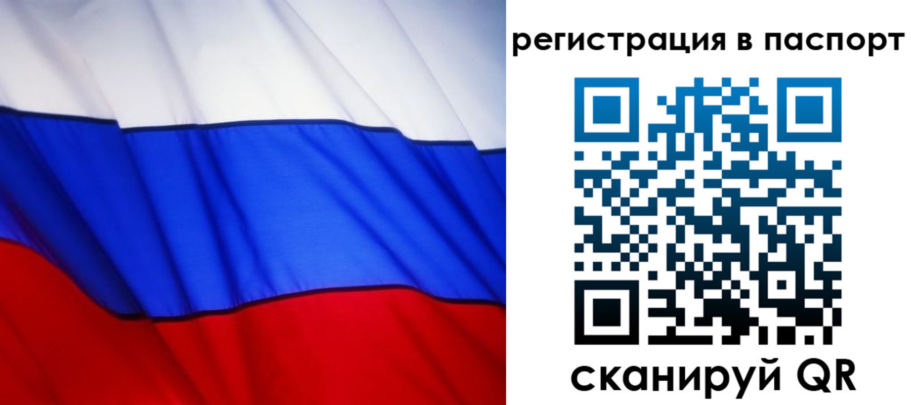 прописка 2025 в Невеле